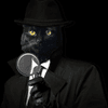 Internatinal Private Investigations & Nationwide Process Serving, Process Server in Oklahoma City Oklahoma
